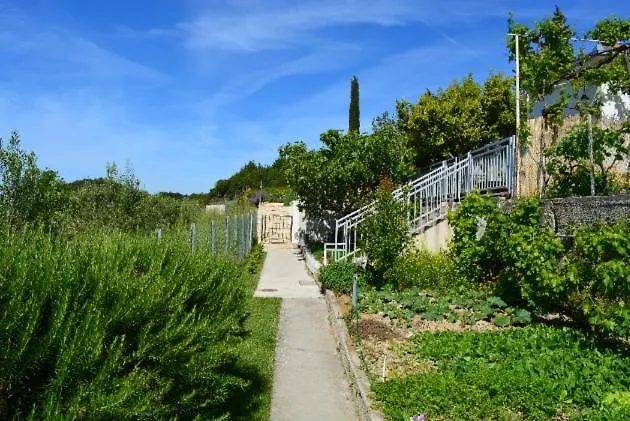 Mediterranean House - Forest Marjan *